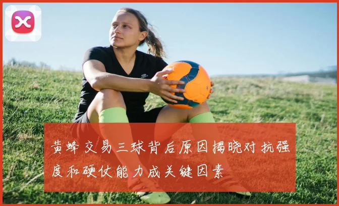 黄蜂交易三球背后原因揭晓对抗强度和硬仗能力成关键因素