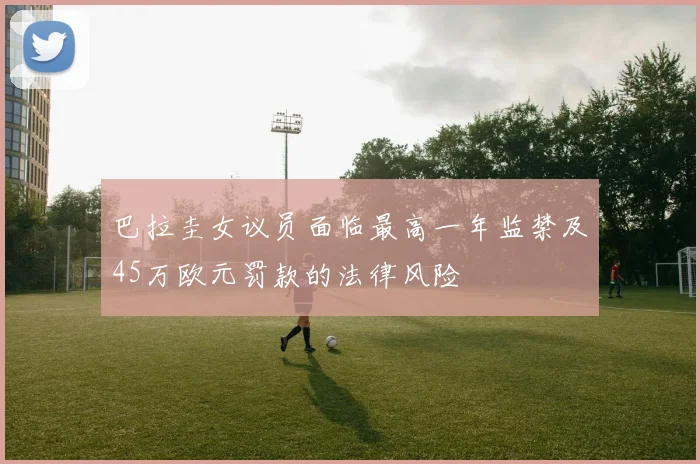 巴拉圭女议员面临最高一年监禁及45万欧元罚款的法律风险